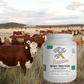 Repair - Grass-Fed Whey Protein (Salted Caramel)